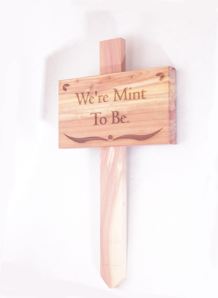 Punny Cedar Garden Signs